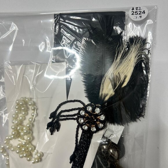 1920s Flapper Black Feathers Accessories Gatsby Costume Accessories Set #2524 - Picture 4 of 5